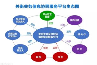 湾区都市 品质东莞 2019年最具人气女性双创项目由你定