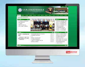 东莞erp开发,东莞网页设计,定制网站